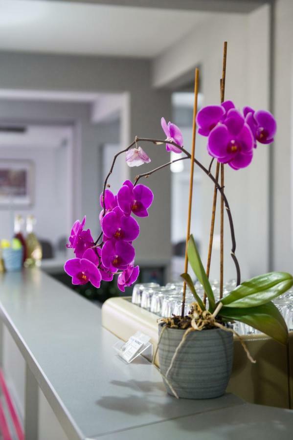 Villa Marinko เมจูโกเรีย ภายนอก รูปภาพ